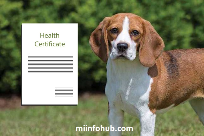 What Is A Health Certificate For Dogs