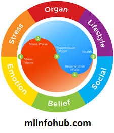 How Emotional Health Affects Physical Health?